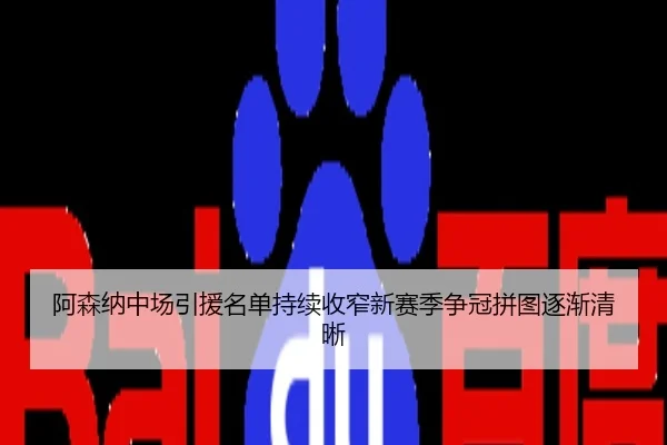 阿森纳中场引援名单持续收窄新赛季争冠拼图逐渐清晰
