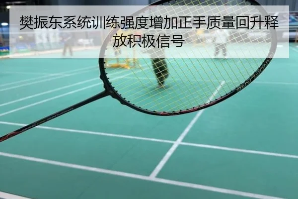 樊振东系统训练强度增加正手质量回升释放积极信号